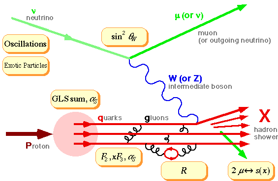 Deep-Inelastic Scattering Diagram