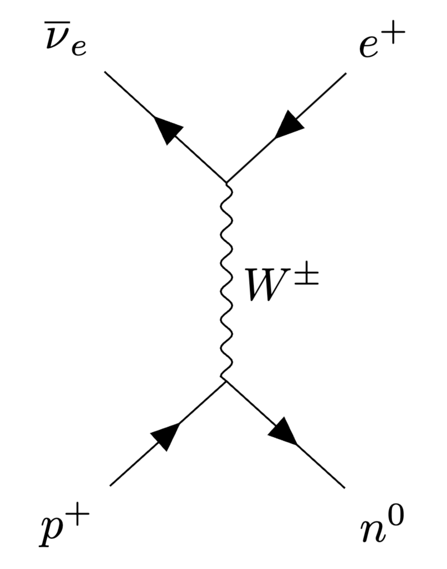 Feynman diagram of inverse beta decay