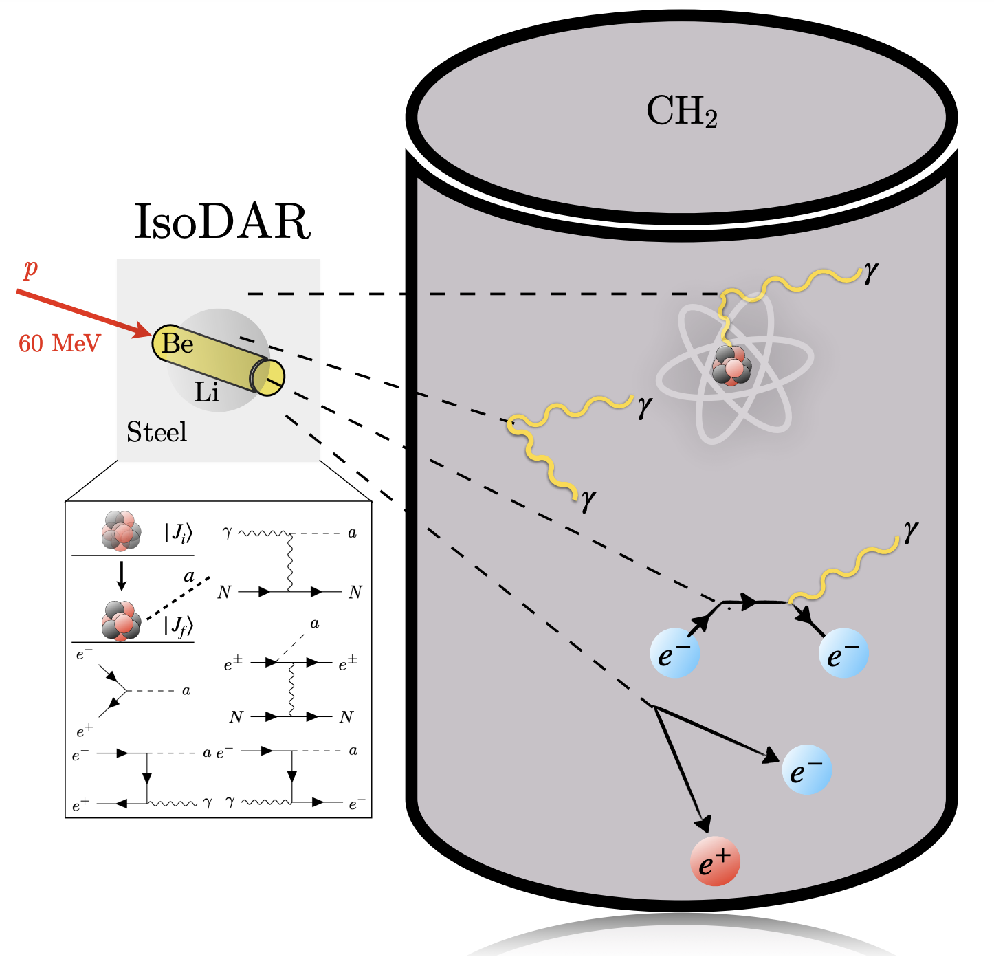 IsoDAR's ALP detection mechanism