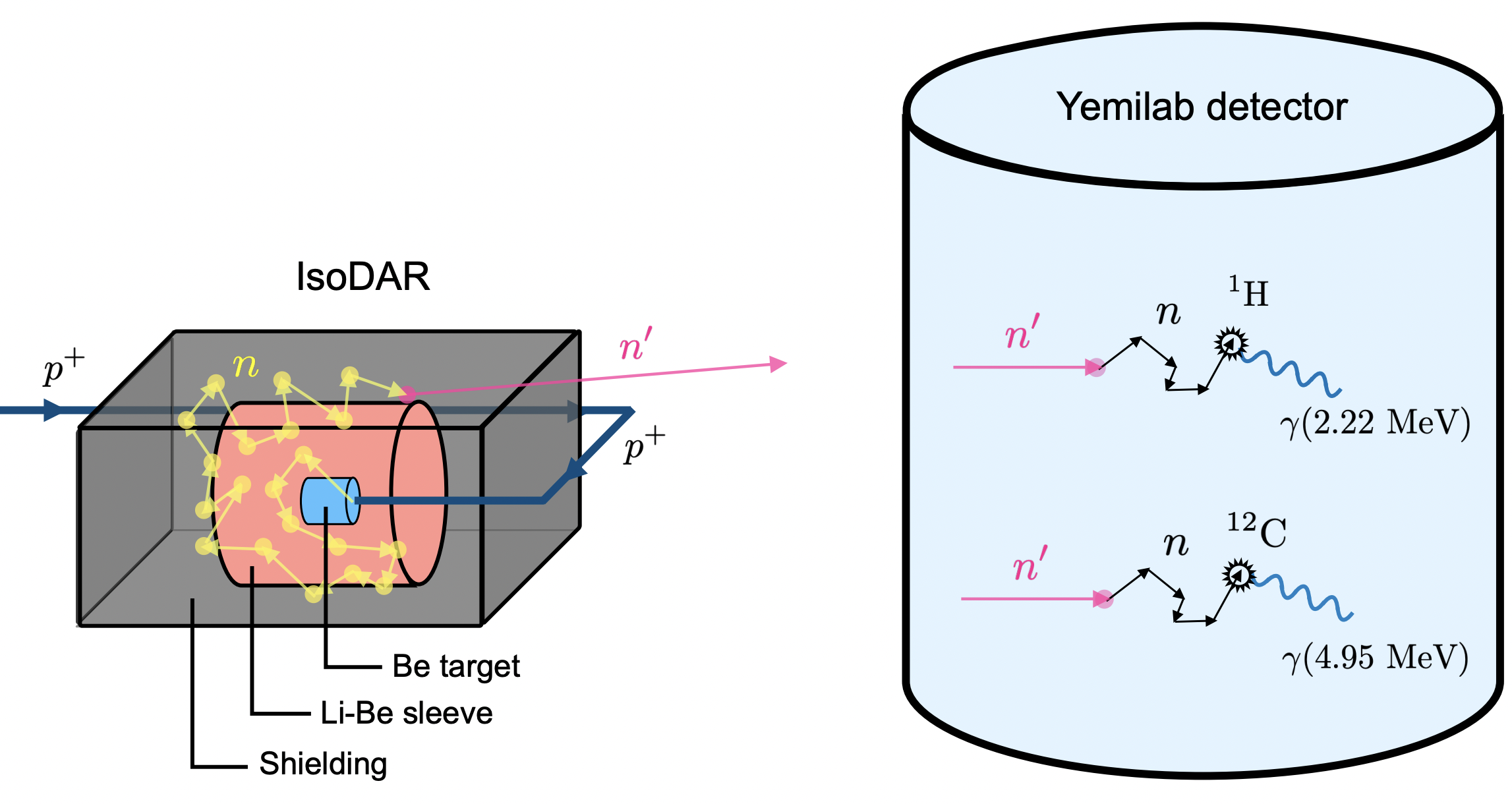 Mirror neutron detection in IsoDAR