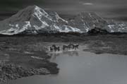 montagnes