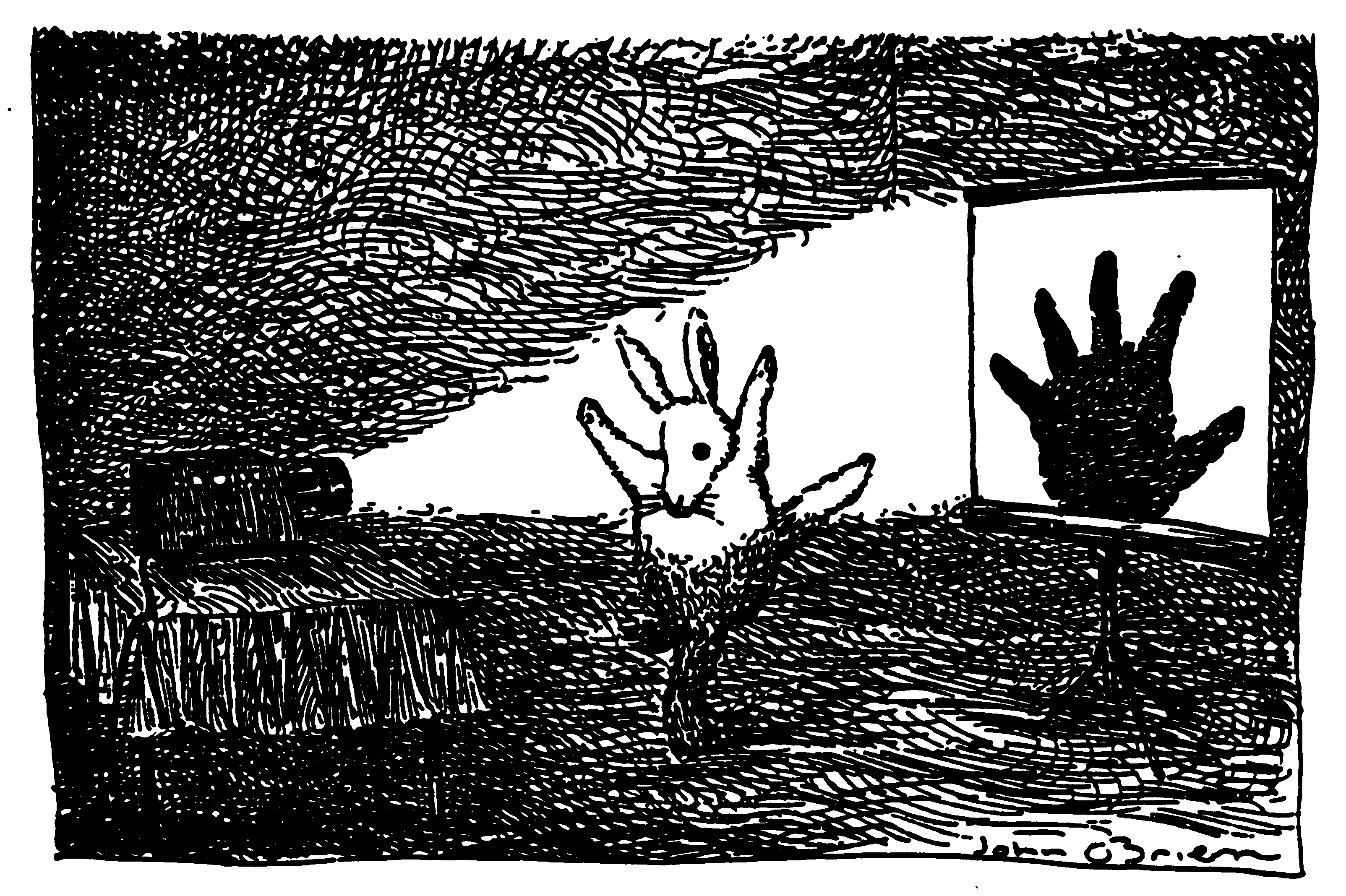 Bunny